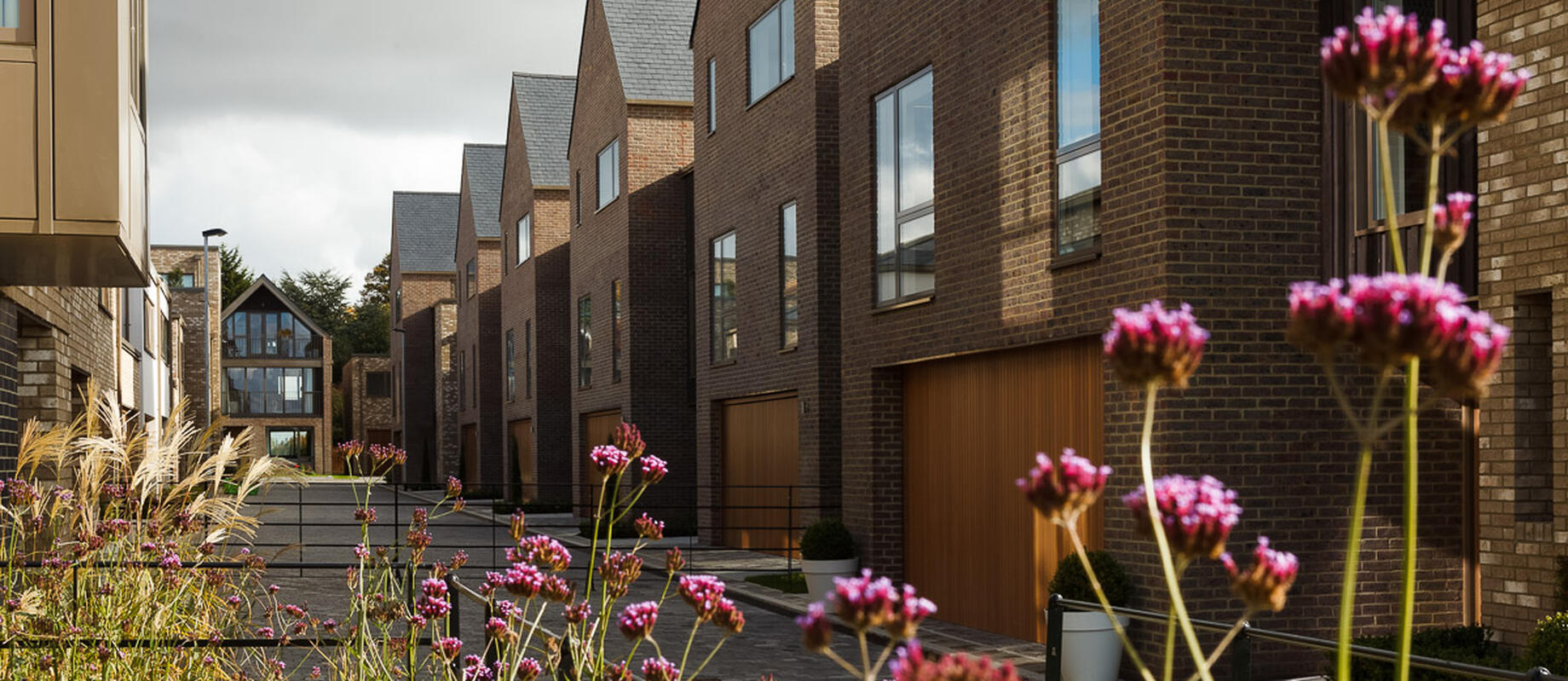 Wildflower planting at modern residential estates